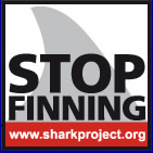 sharkproject.com Wir kämpfen für Haie!