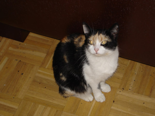 DSC00020